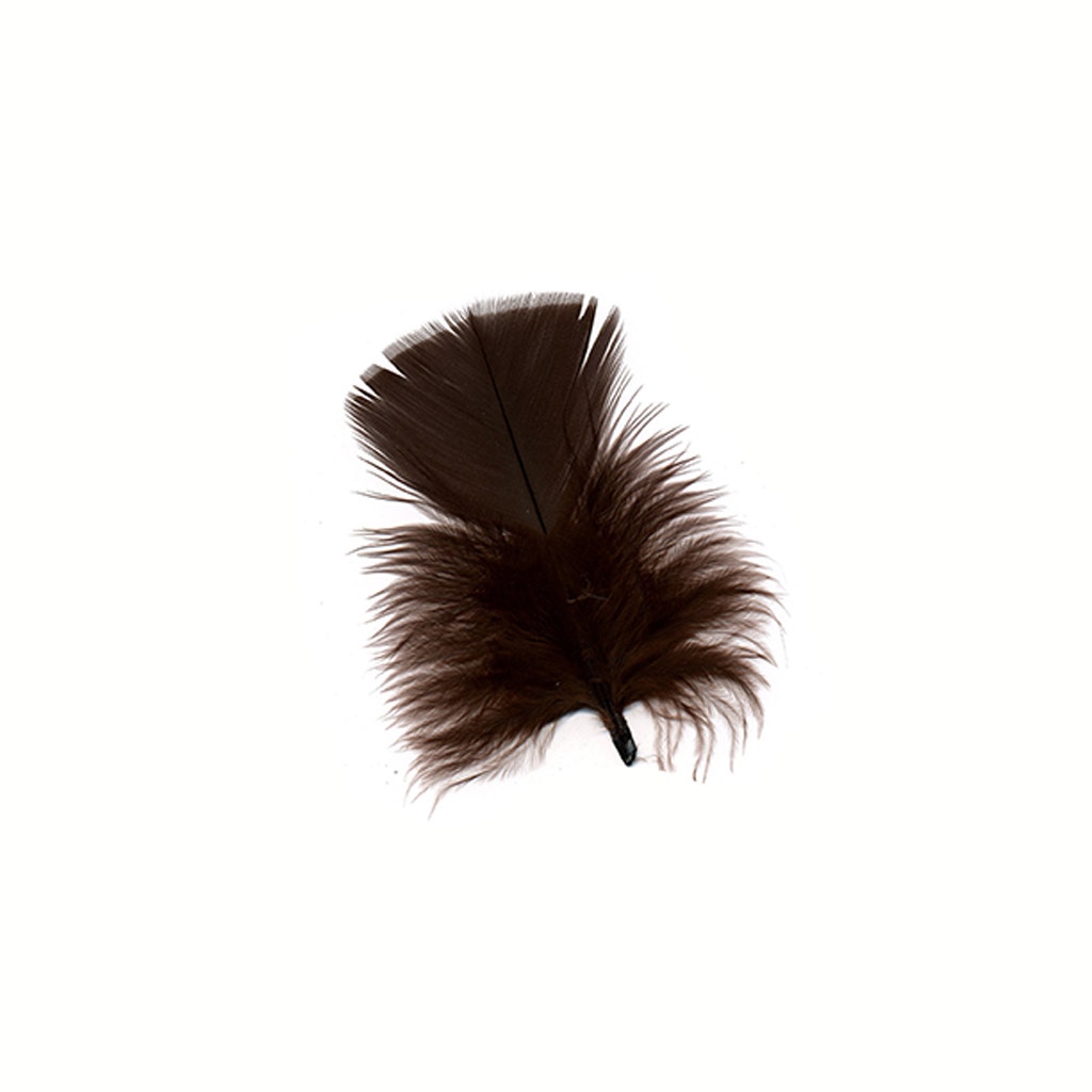 Loose Turkey Plumage Feathers - Brown