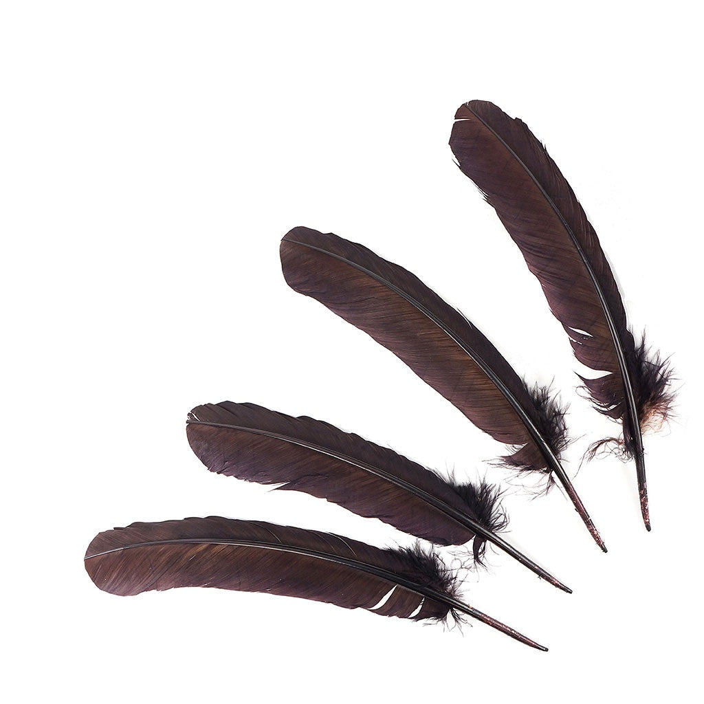 Turkey Quills Dyed Feathers - Brown