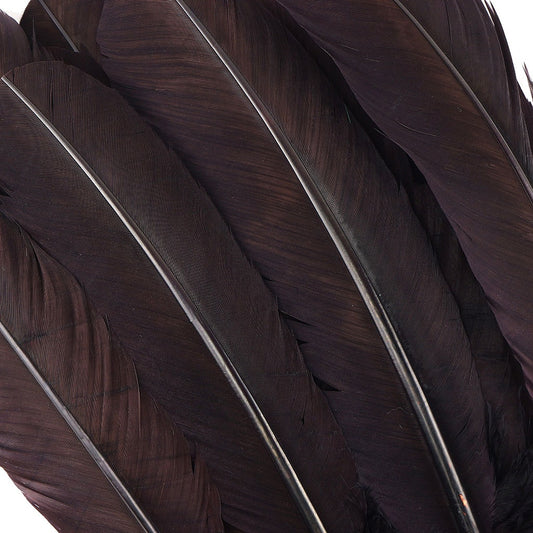 Turkey Quills Dyed Feathers - Brown