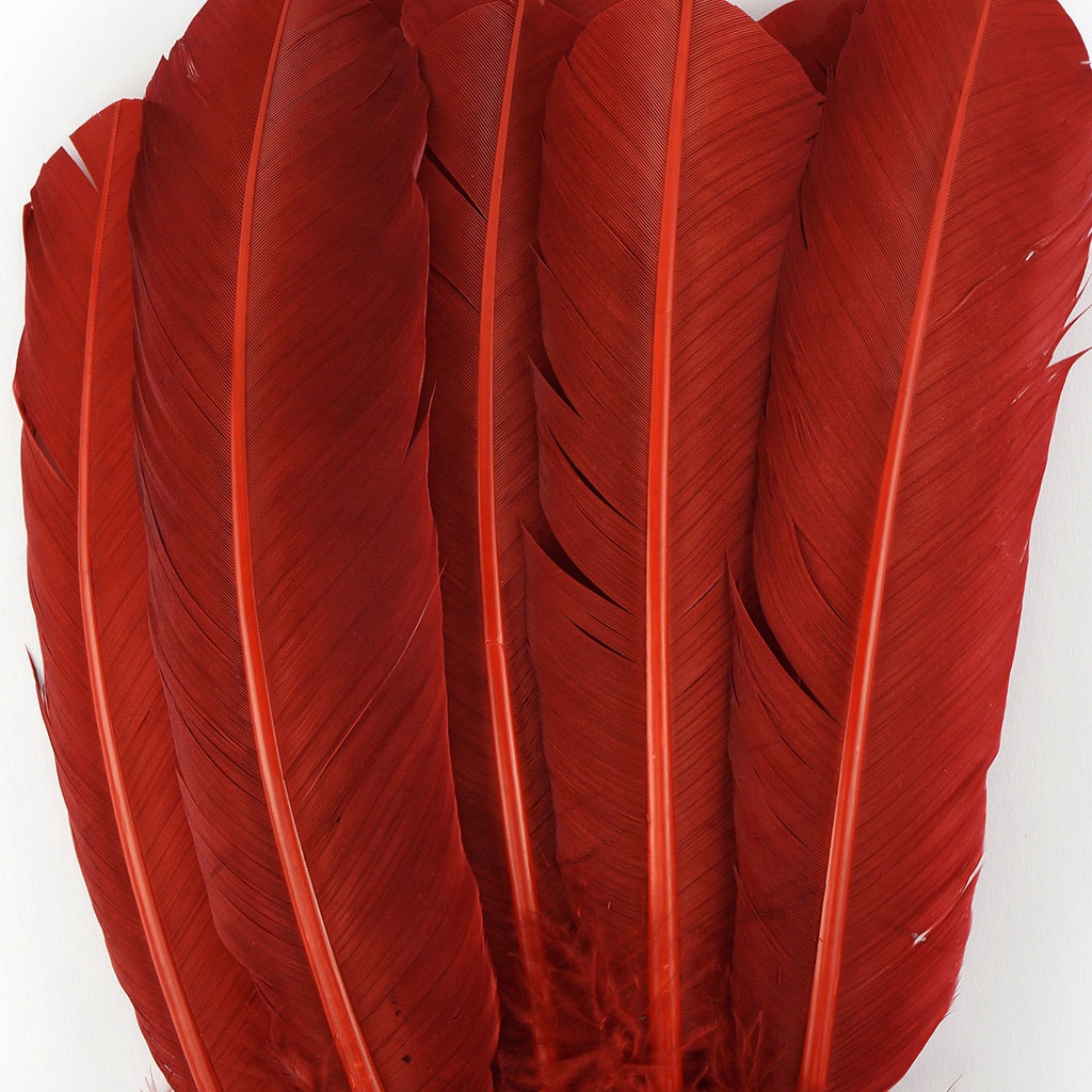 Turkey Quills Dyed Feathers - Rust