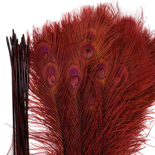 Peacock Tail Eyes Bleached Dyed - 25-40 Inch - 100 PCS - Burgundy