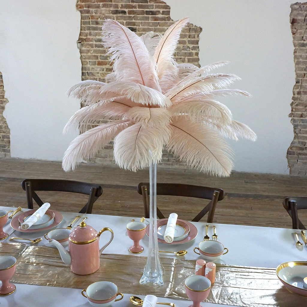 Baby Pink Ostrich Feathers Feather Centerpieces Wedding Centerpieces Feather  Decorations Feathers for Vases 