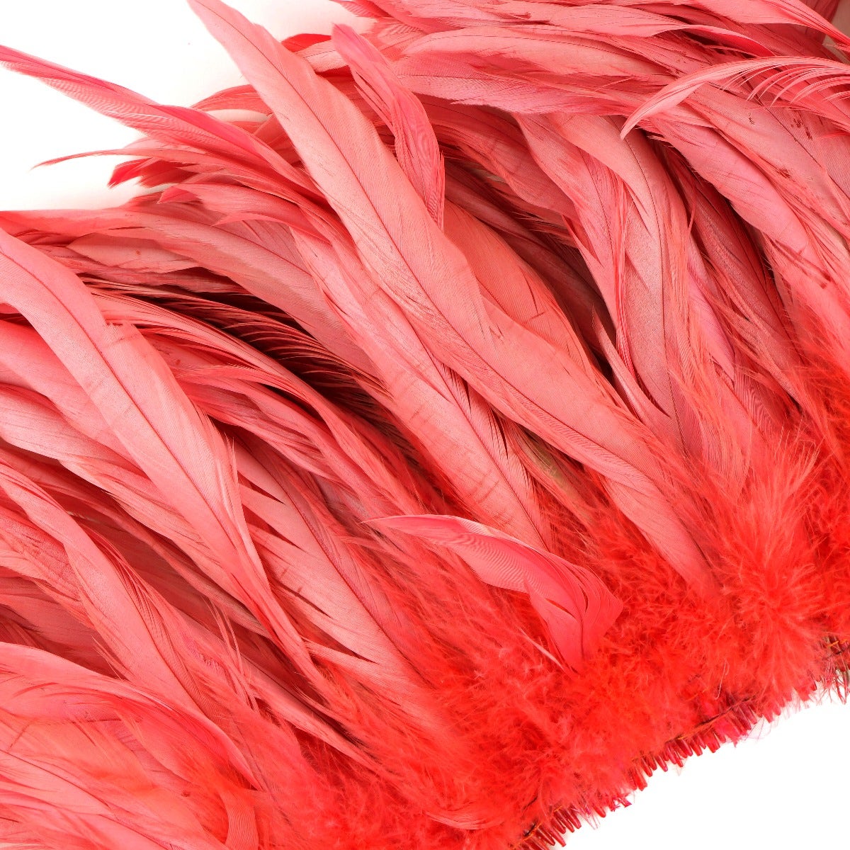 Rooster Coque Tails Feathers Bleach Dyed 7-10 - 1/2 Yard ( 18 inch) - Coral