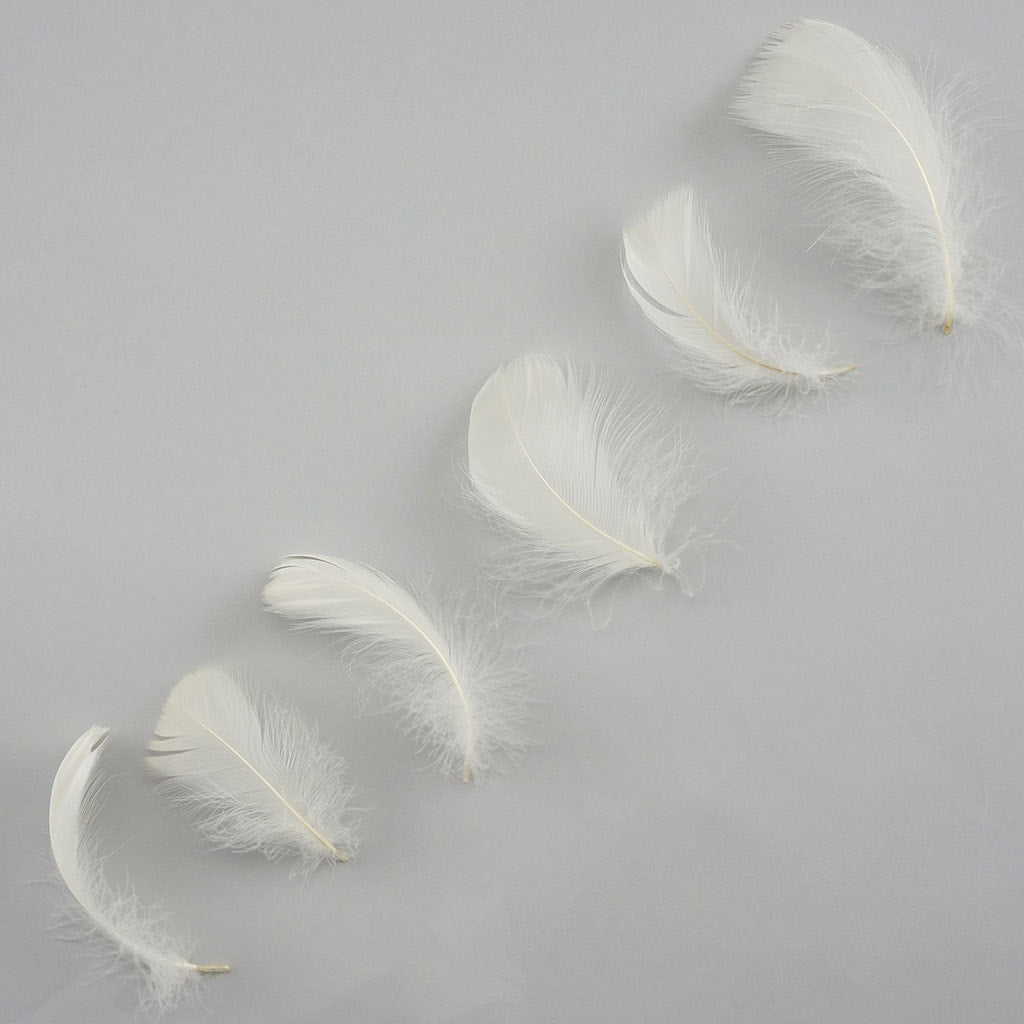 Bulk Goose Coquille Feathers Dyed - Eggshell - 1/4 lb