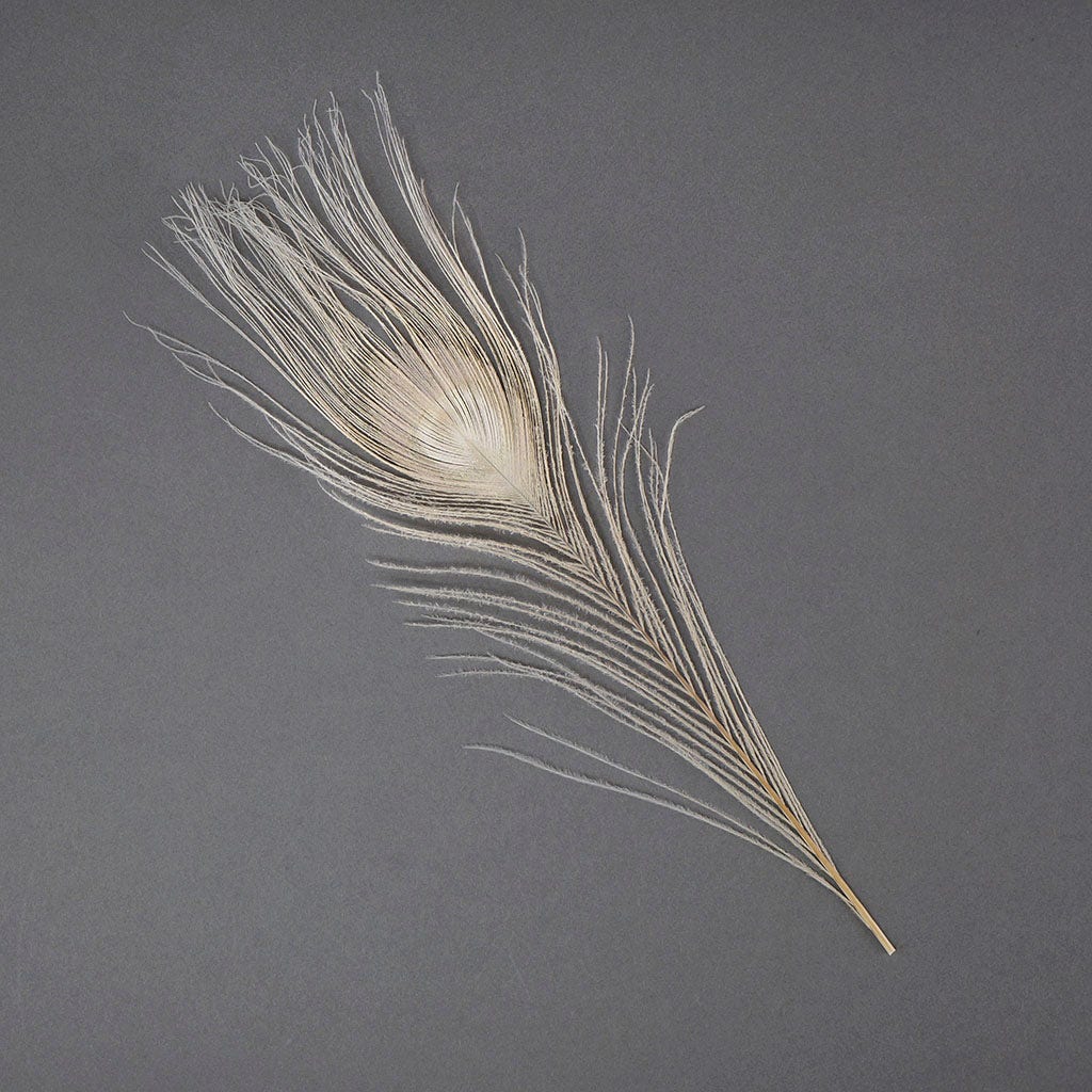 Peacock Feather Eyes Bleached & Dyed Eggshell