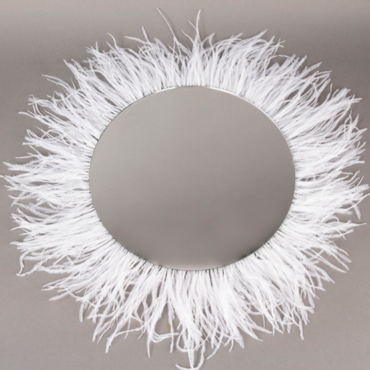 White Ostrich Feather Mirror Wall Art