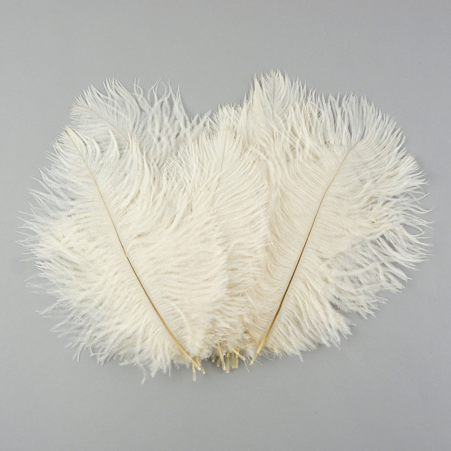 Ostrich Feathers 4-8" Drabs - Ivory