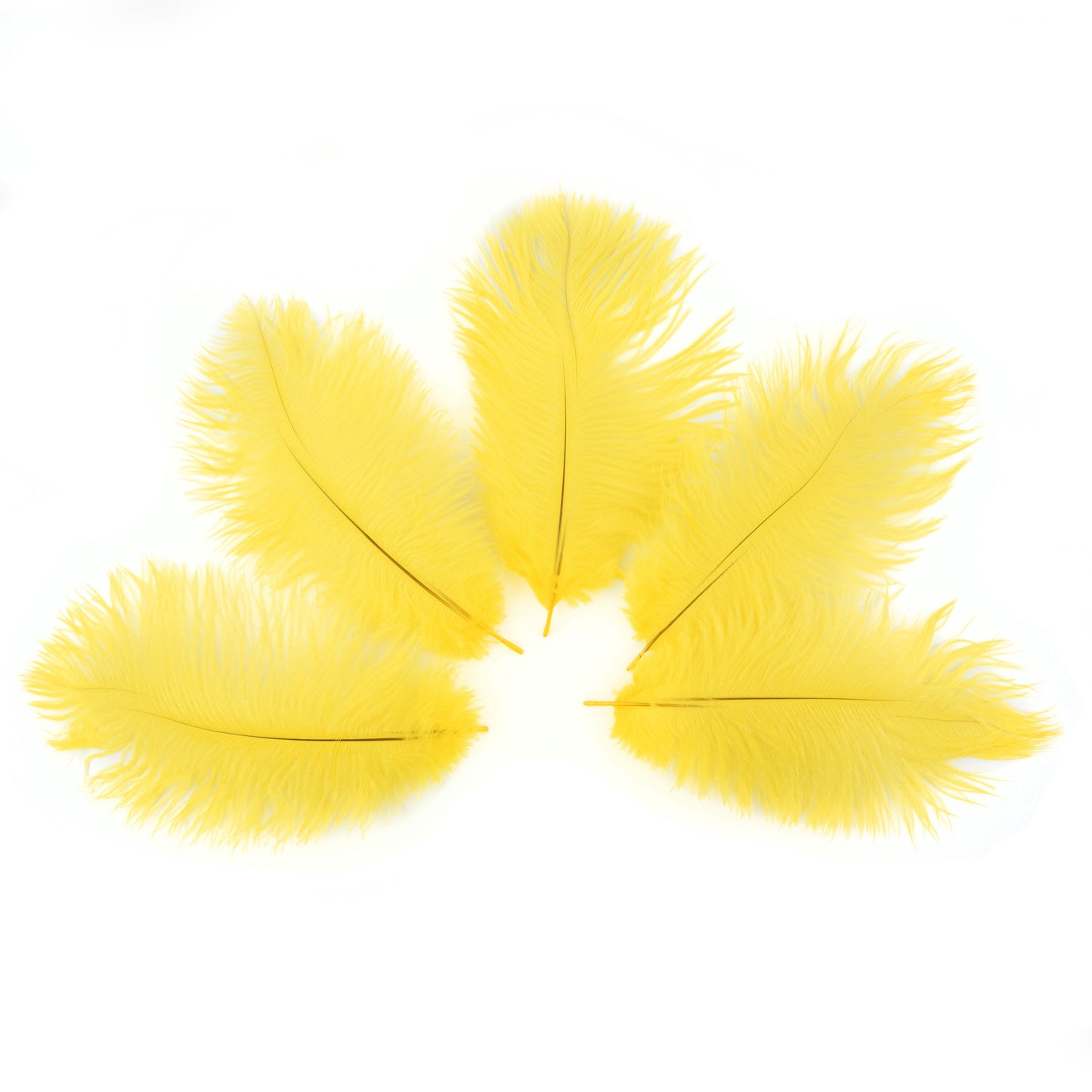 Ostrich Feathers 4-8" Drabs - Yellow