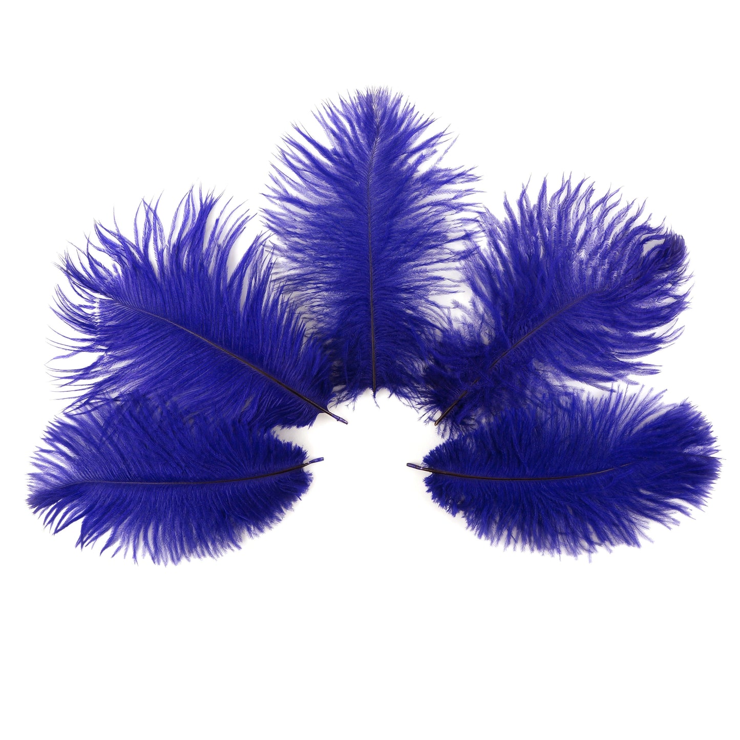 Ostrich Feathers 4-8" Drabs - Regal