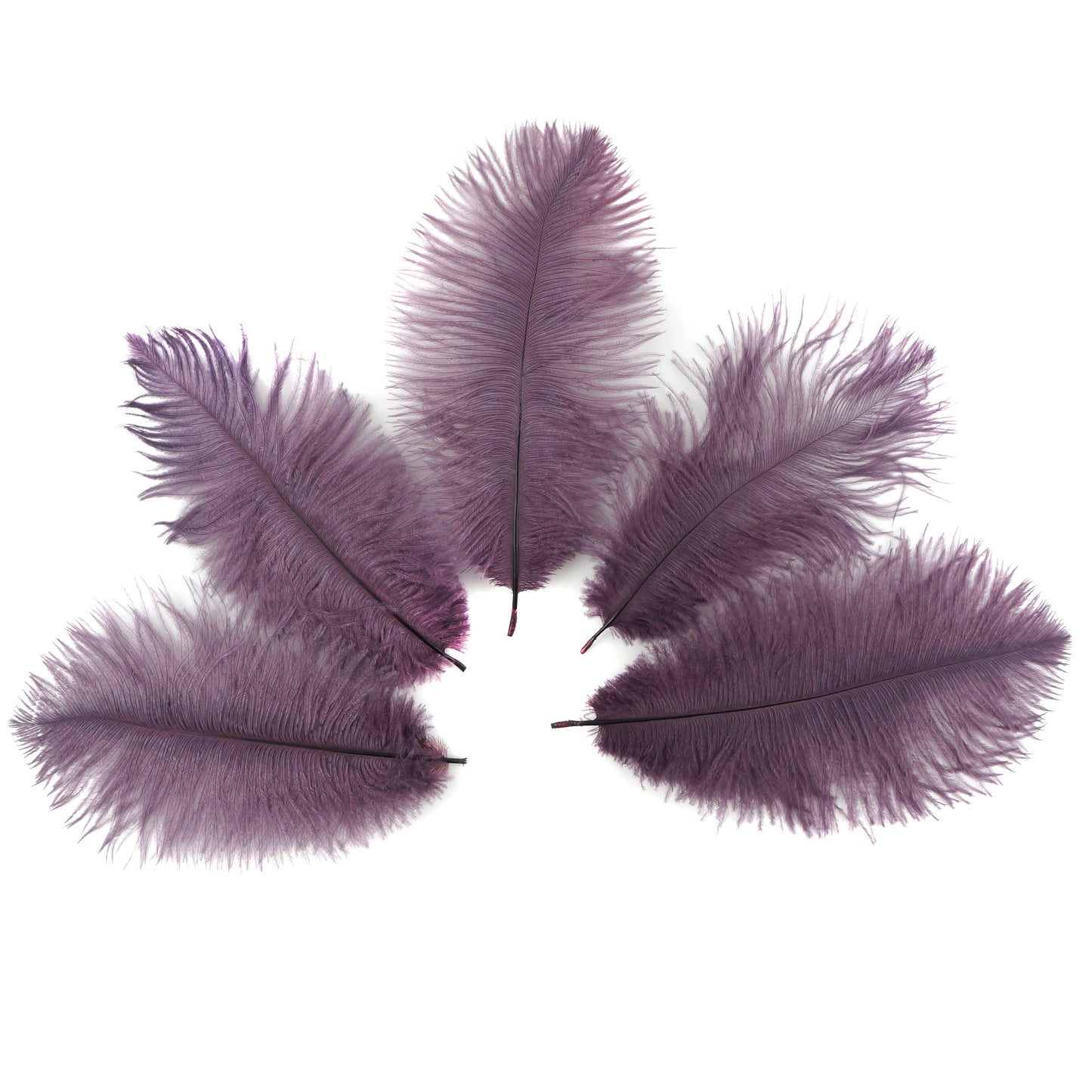 Ostrich Feathers 4-8" Drabs - Amethyst