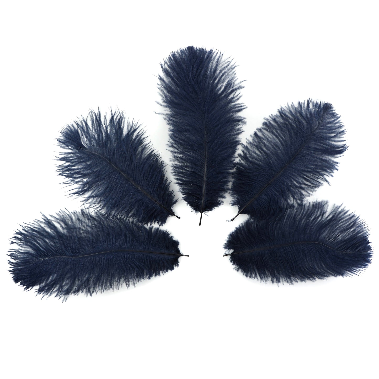 Ostrich Feathers 9-12" Drabs - Navy