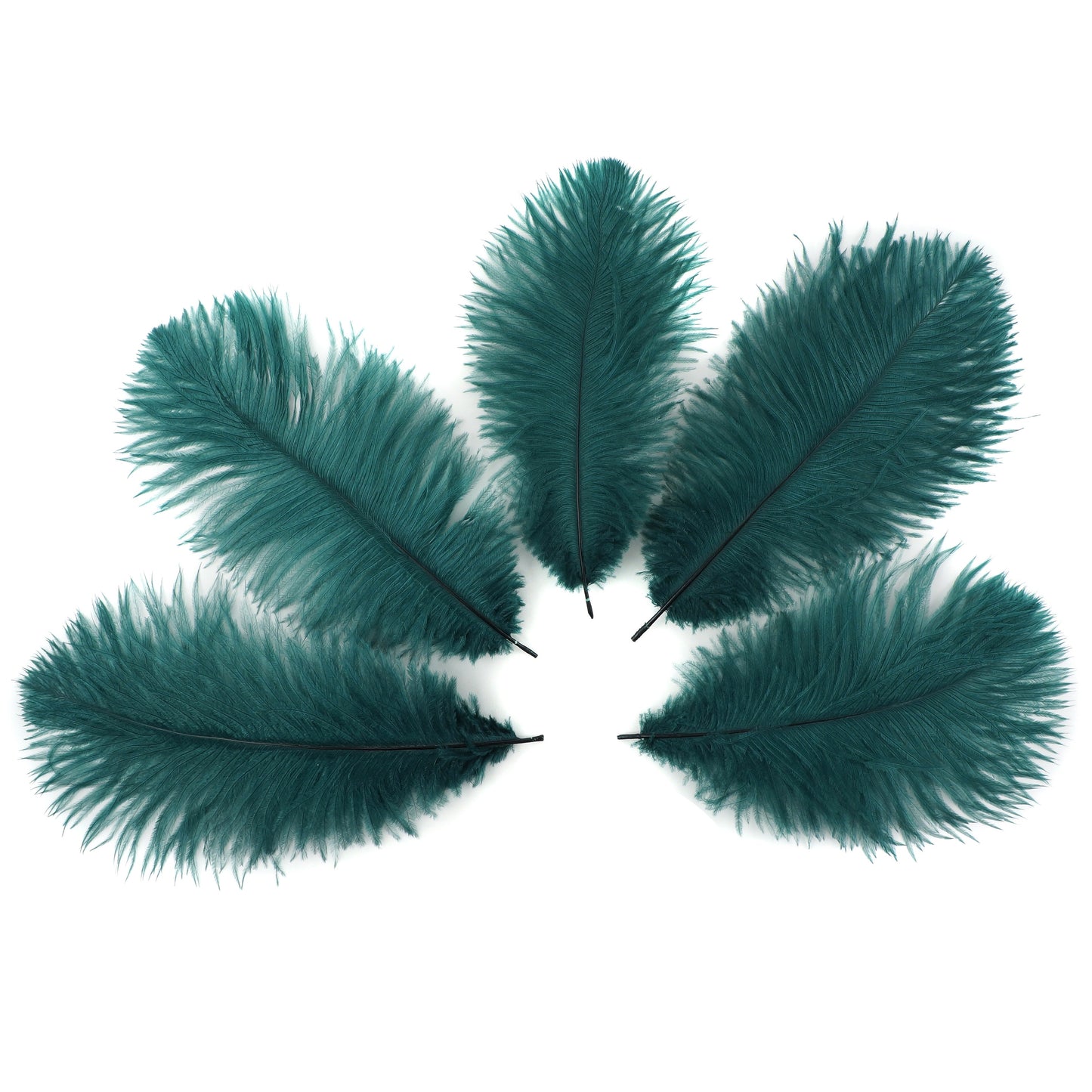 Ostrich Feathers 9-12" Drabs - Teal