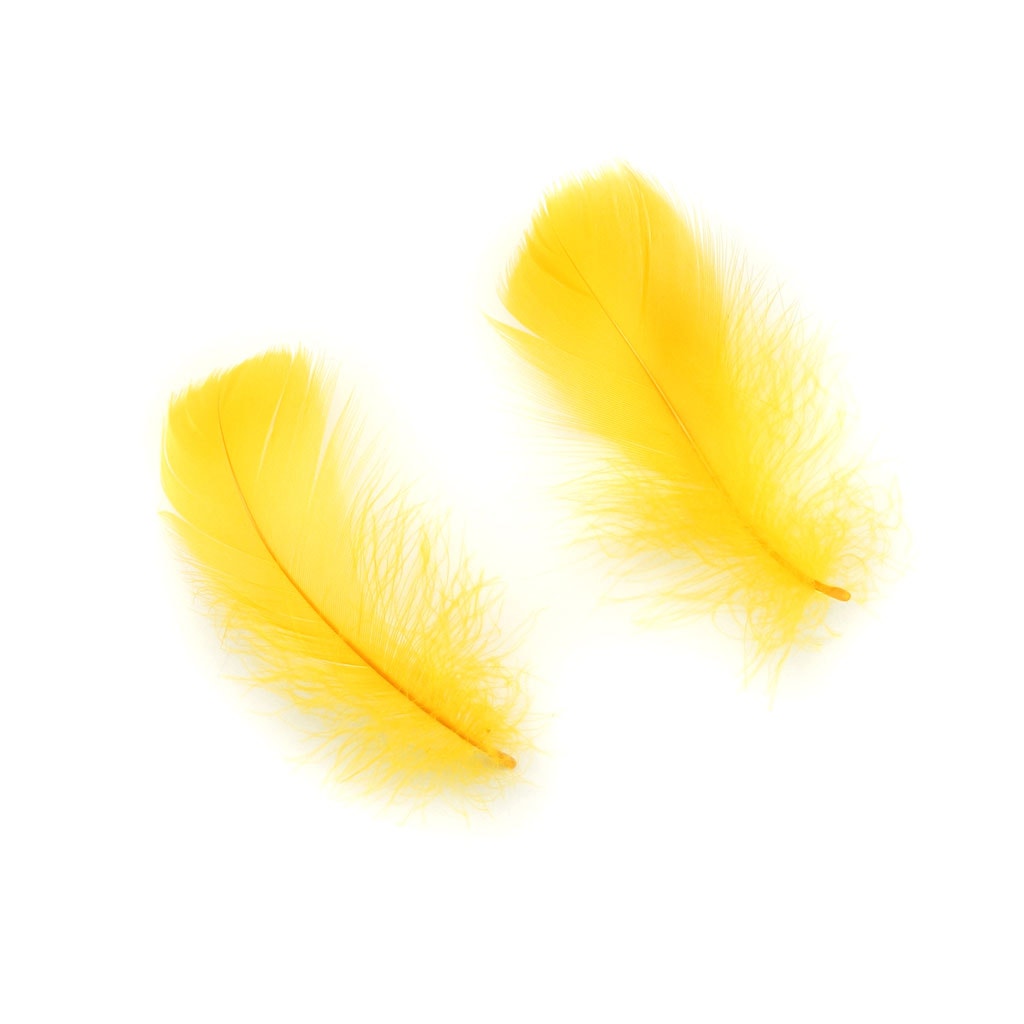Bulk Goose Coquille Feathers Dyed - Gold - 1/4 lb