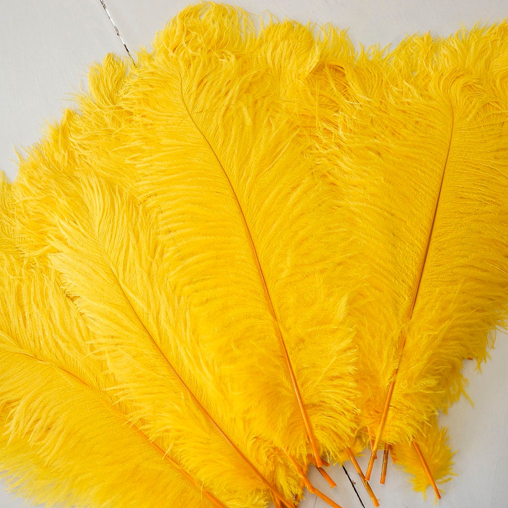 Large Ostrich Feathers - 17"+ Drabs - Gold