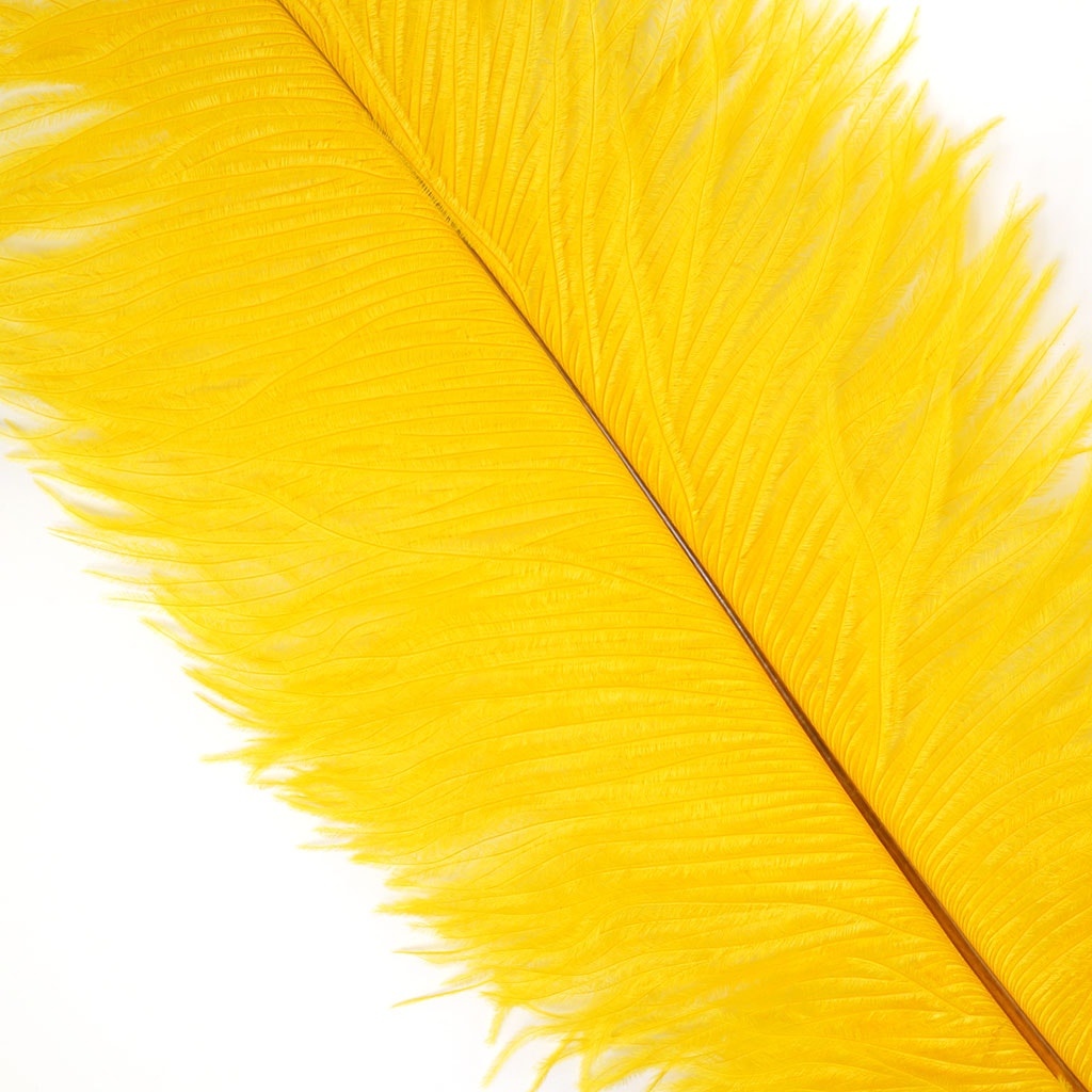 Ostrich Feather Drabs - 13-16 inch - Gold