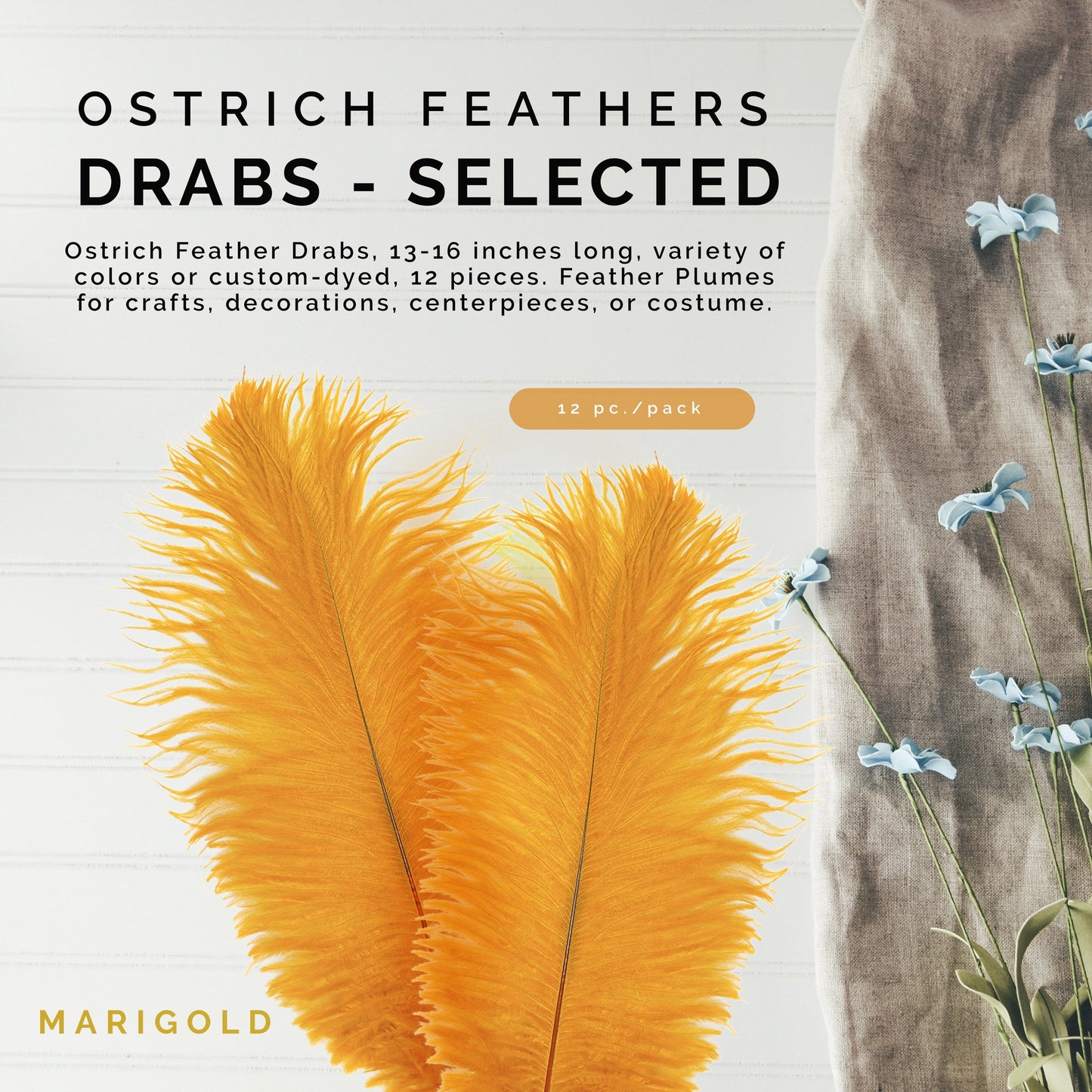 Ostrich Feathers 13-16" Drabs - Marigold