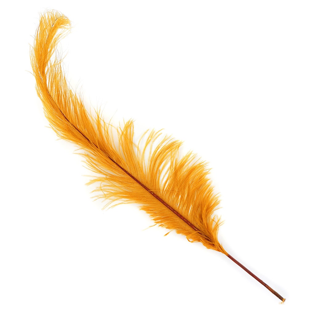 Ostrich Feathers-Spads Damaged - Marigold