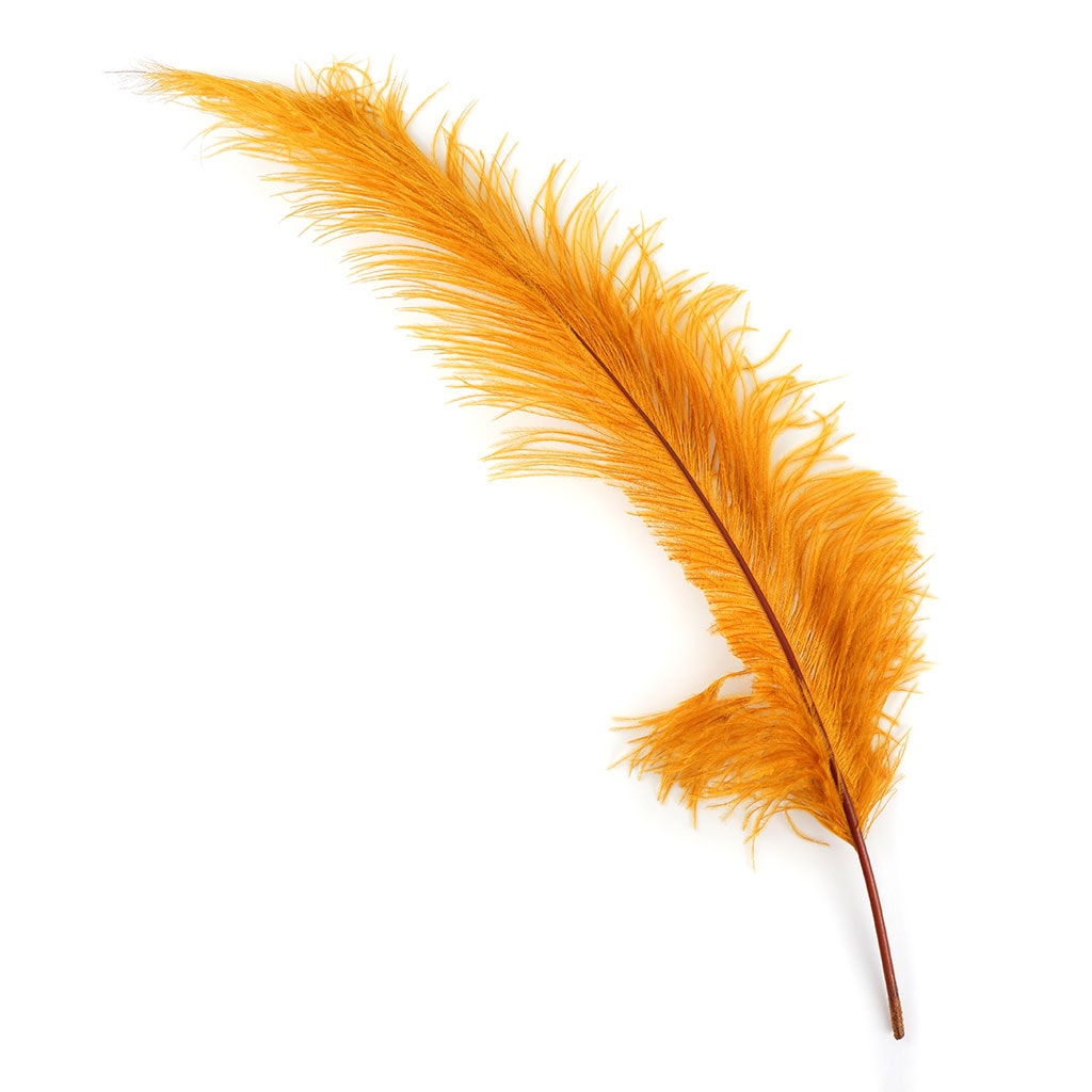 Ostrich Feathers-Spads Damaged - Marigold