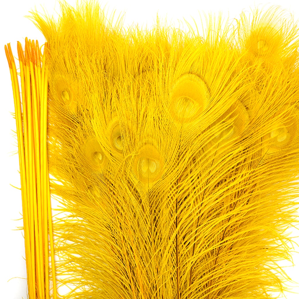 Peacock Eyes Bleached/Dyed - Gold Feathers 30-40" - 10 PC