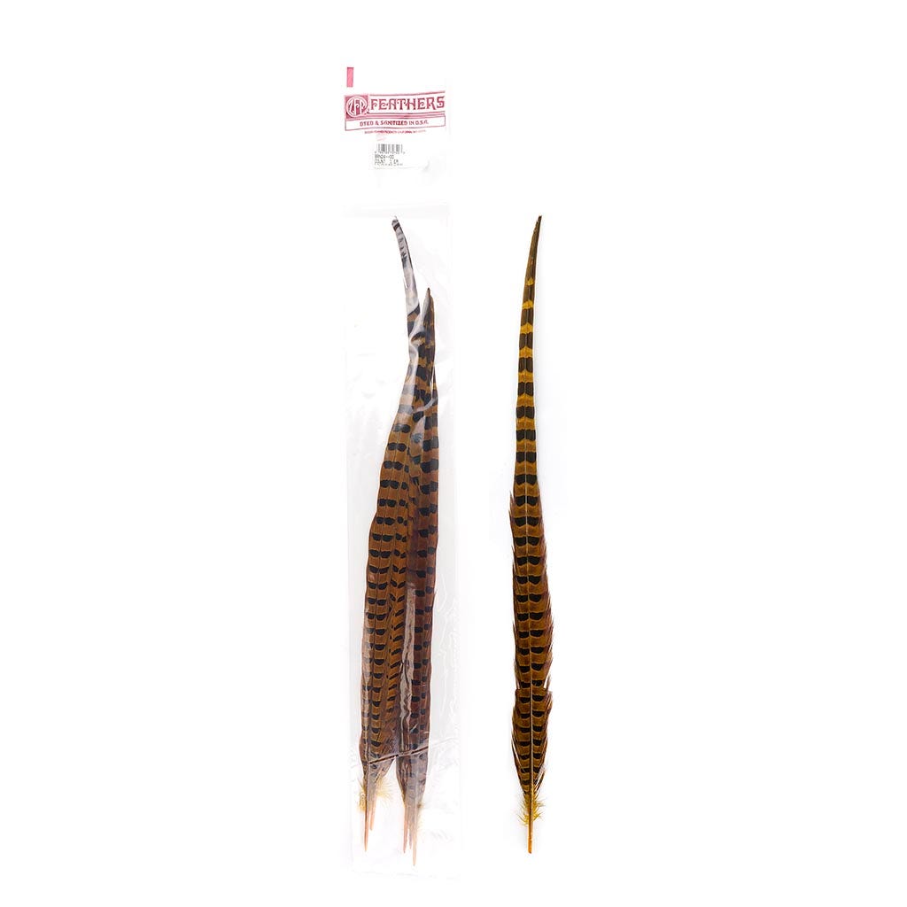 Ringneck Pheasant Tails 20-24" Dyed -5pcs - Gold