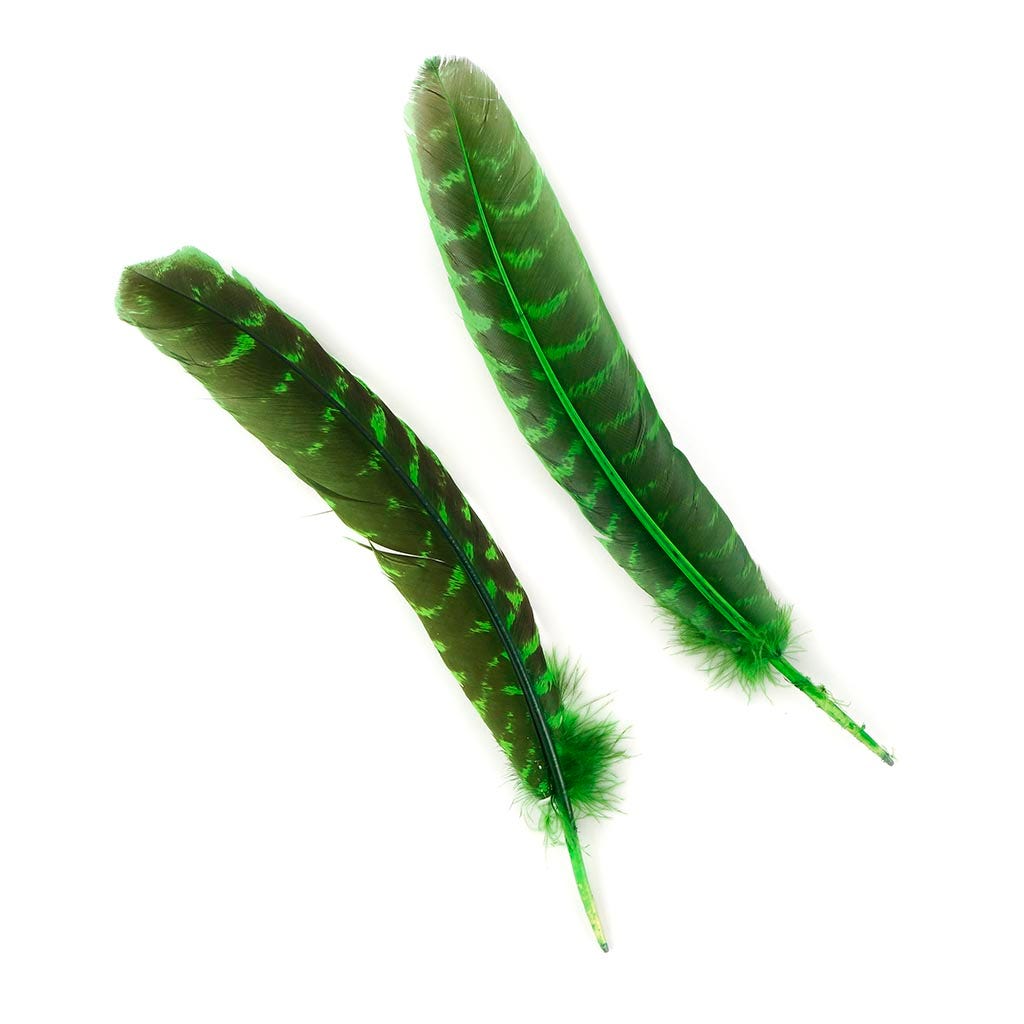 Barred Turkey Quills - Left Wing - 8-12 Inches - 12 pc - Kelly