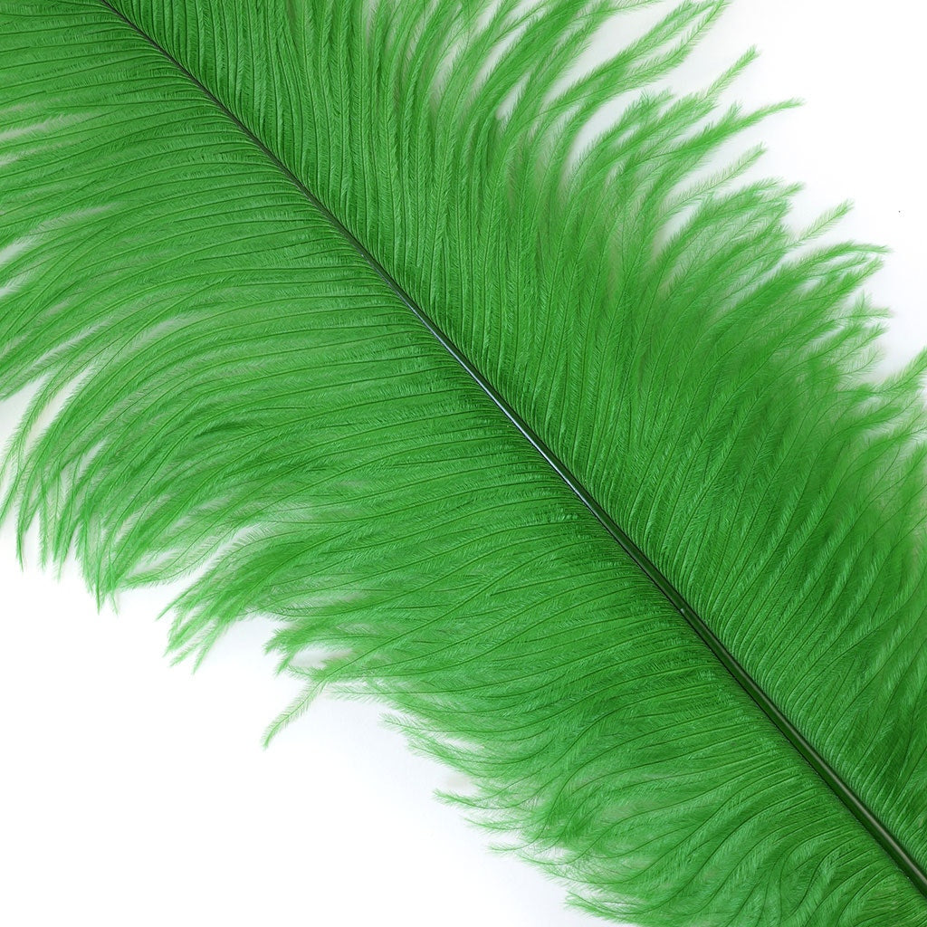Ostrich Feathers 13-16" Drabs - Kelly