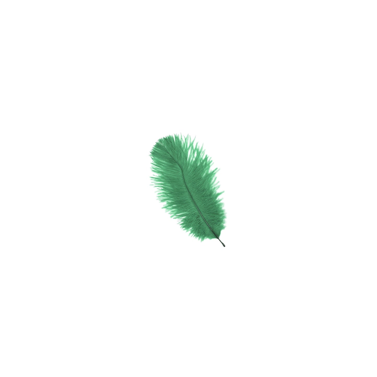 Ostrich Feathers 4-8" Drabs - Emerald
