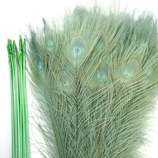 Peacock Tail Eyes Bleached Dyed - 25-40 Inch - 100 PCS - Celedon