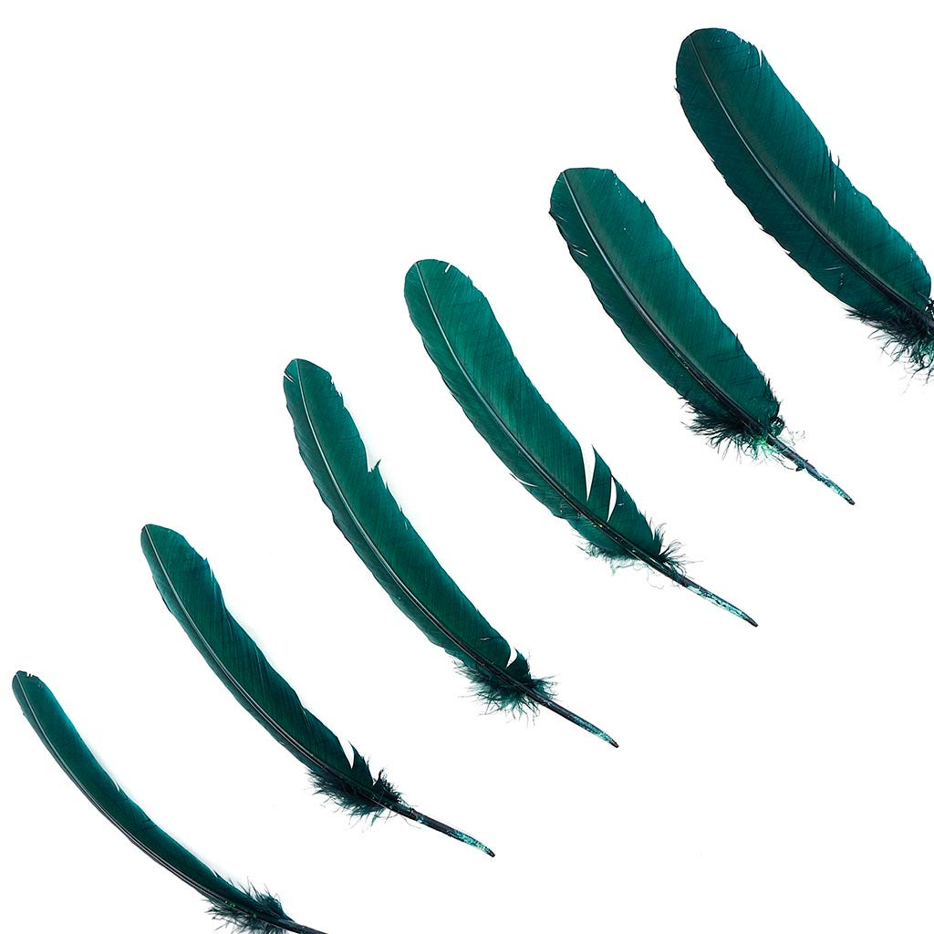 Turkey Quills by Pound - Right Wing - Hunter Green