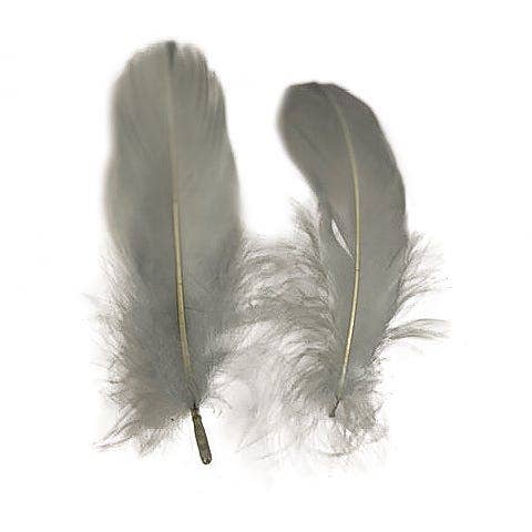 Bulk Goose Pallet Feathers - 6-8 Inch - 1/4 LB - Silver