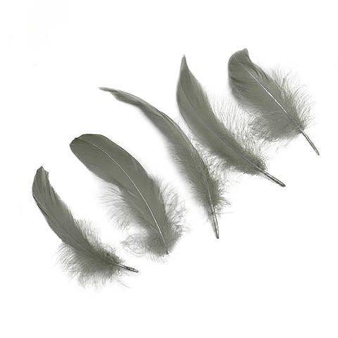 Bulk Goose Pallet Feathers - 6-8 Inch - 1/4 LB - Silver