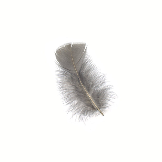 TP--GR Loose Turkey Plumage Feathers - Grey