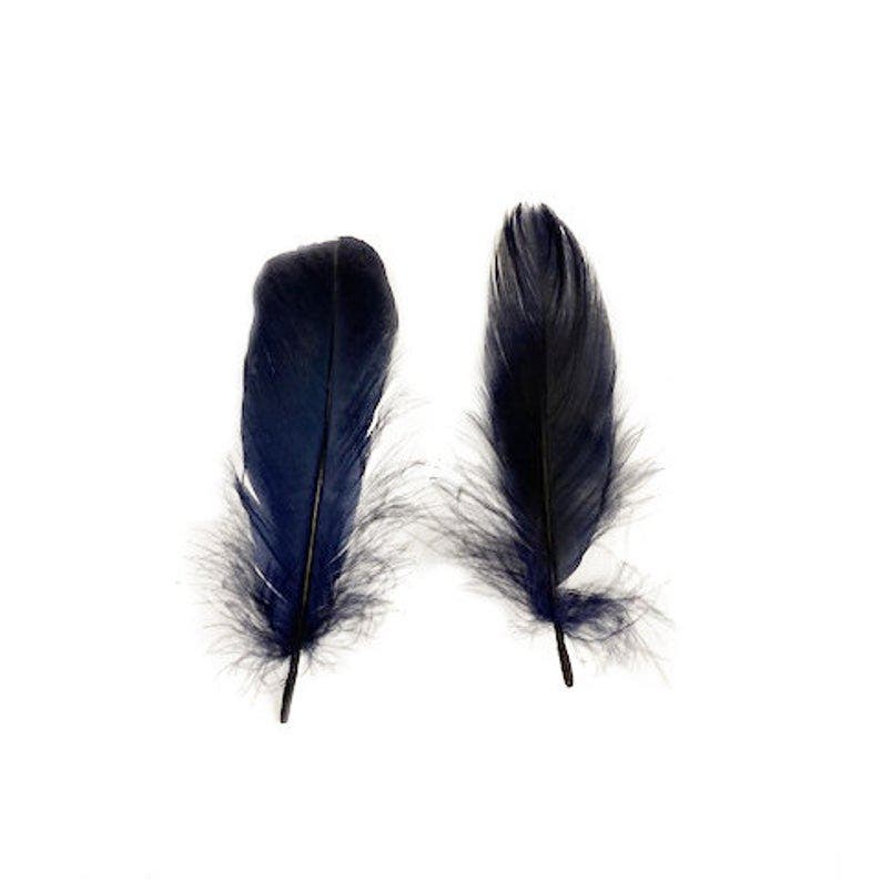 Goose Nagoire Loose Feathers 4-6" - Navy