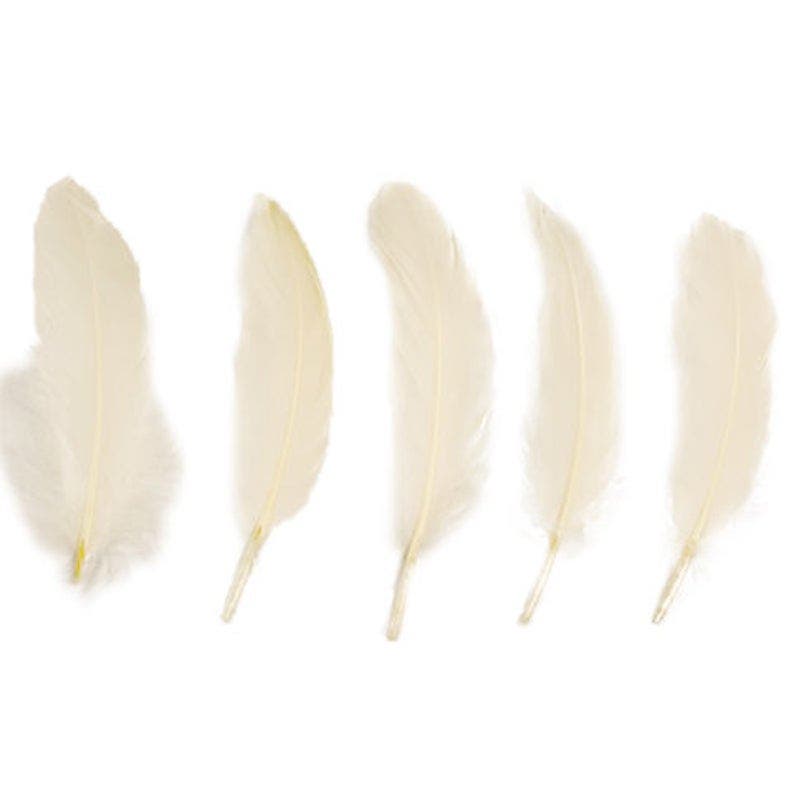 Goose Pallets Loose Feathers 6-8 Inch 1/4 LB -  Ivory