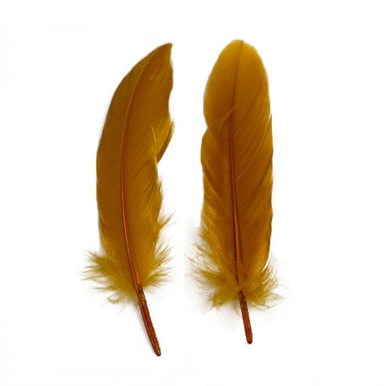 Goose Pallet Feathers 6-8" - 12 pc - Antique Gold