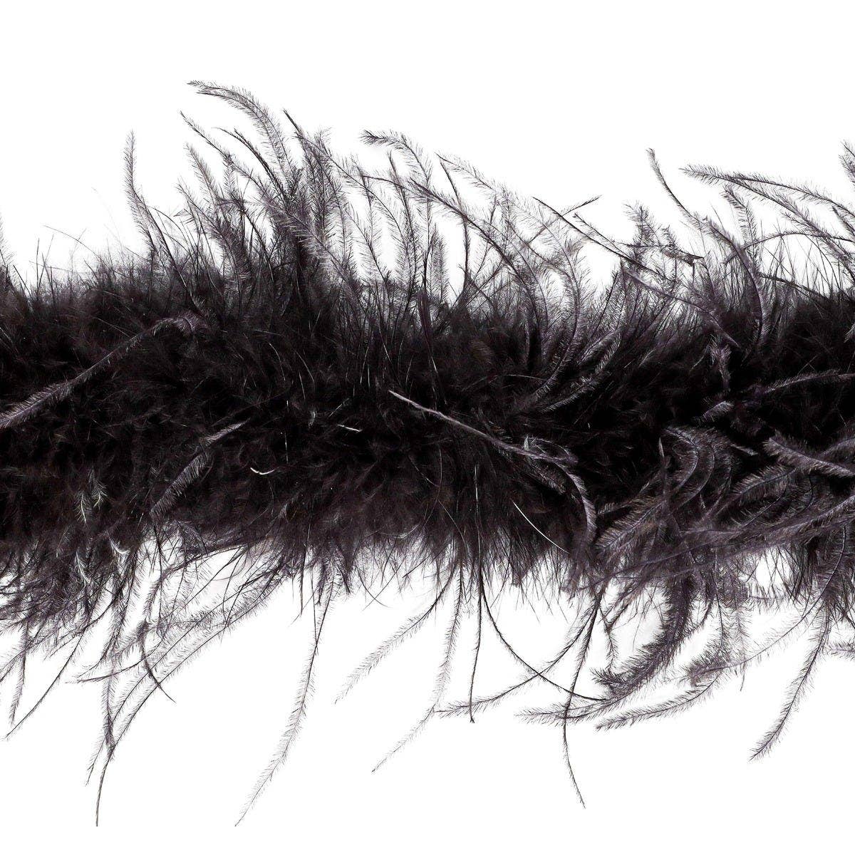 Ostrich Feather Boa - Value Three-Ply - Black