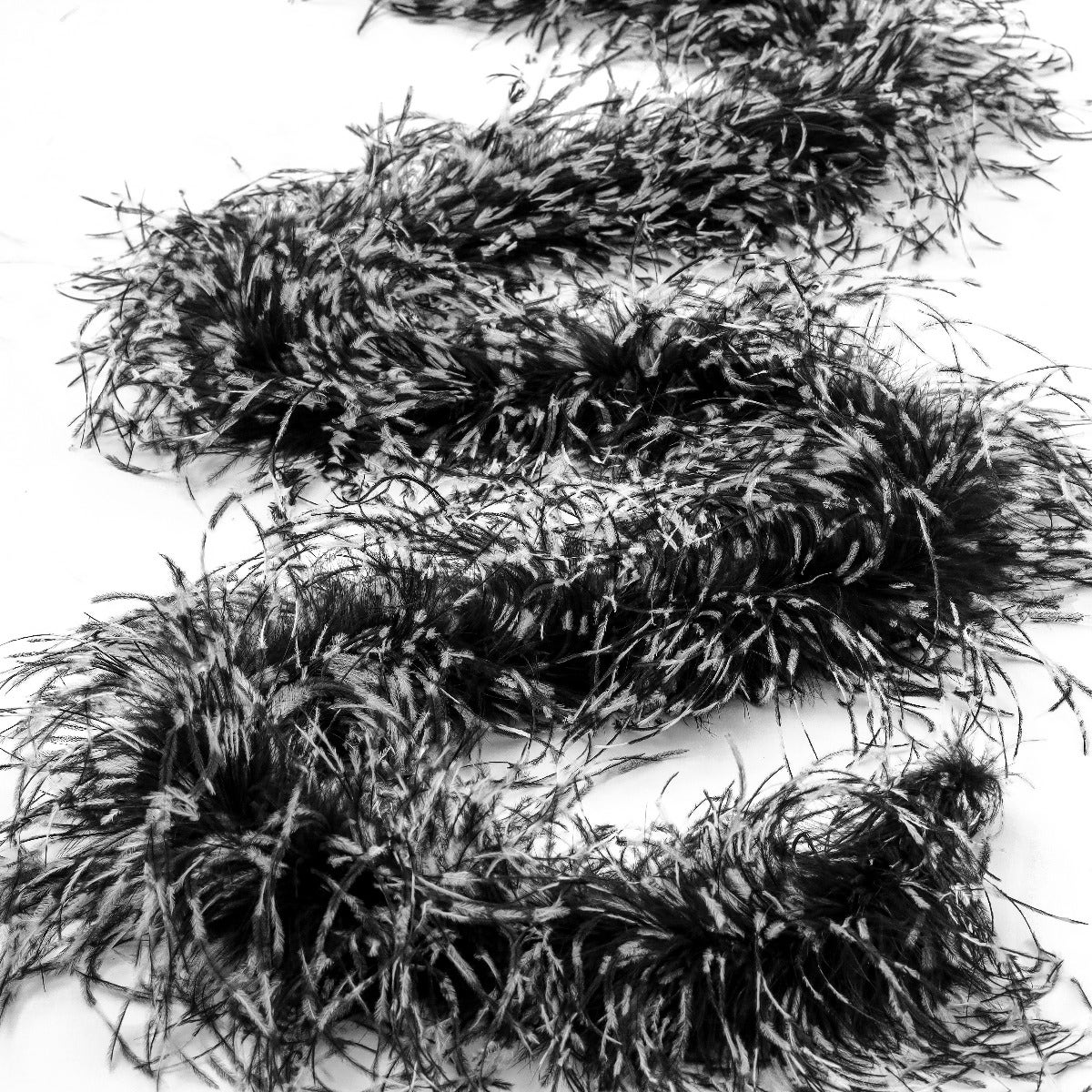 Stenciled Black/White/Black 2 Ply Ostrich Feather Boa