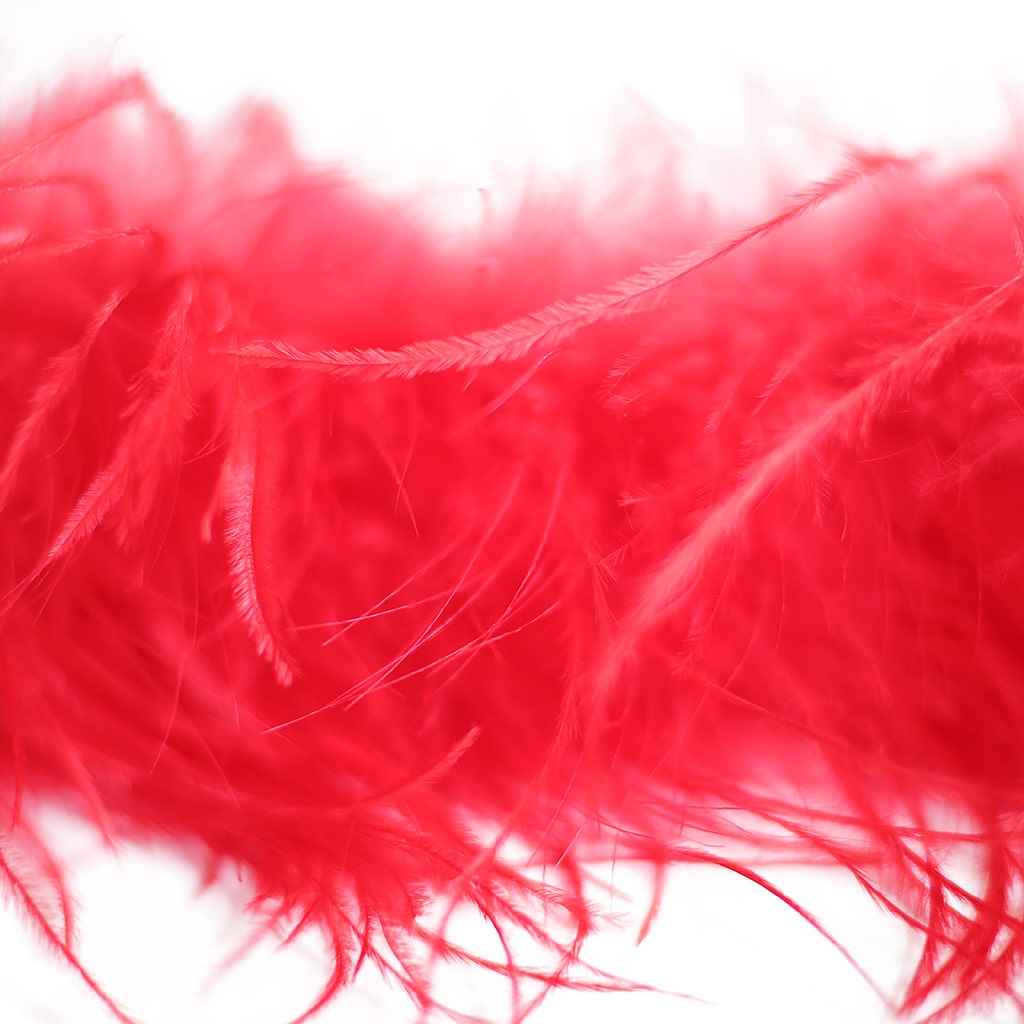 Red 2 Ply Ostrich Feather Boa