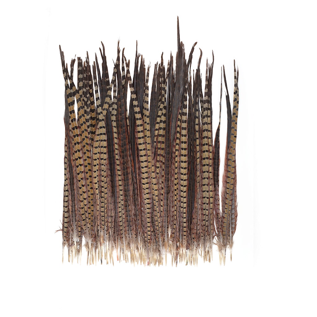 Zucker Feather Product Ringneck Pheasant Tails - Natural - 20 - 24 inch - 100 Pcs