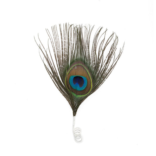 Feather Floral Pick w/Peacock Eye - Natural