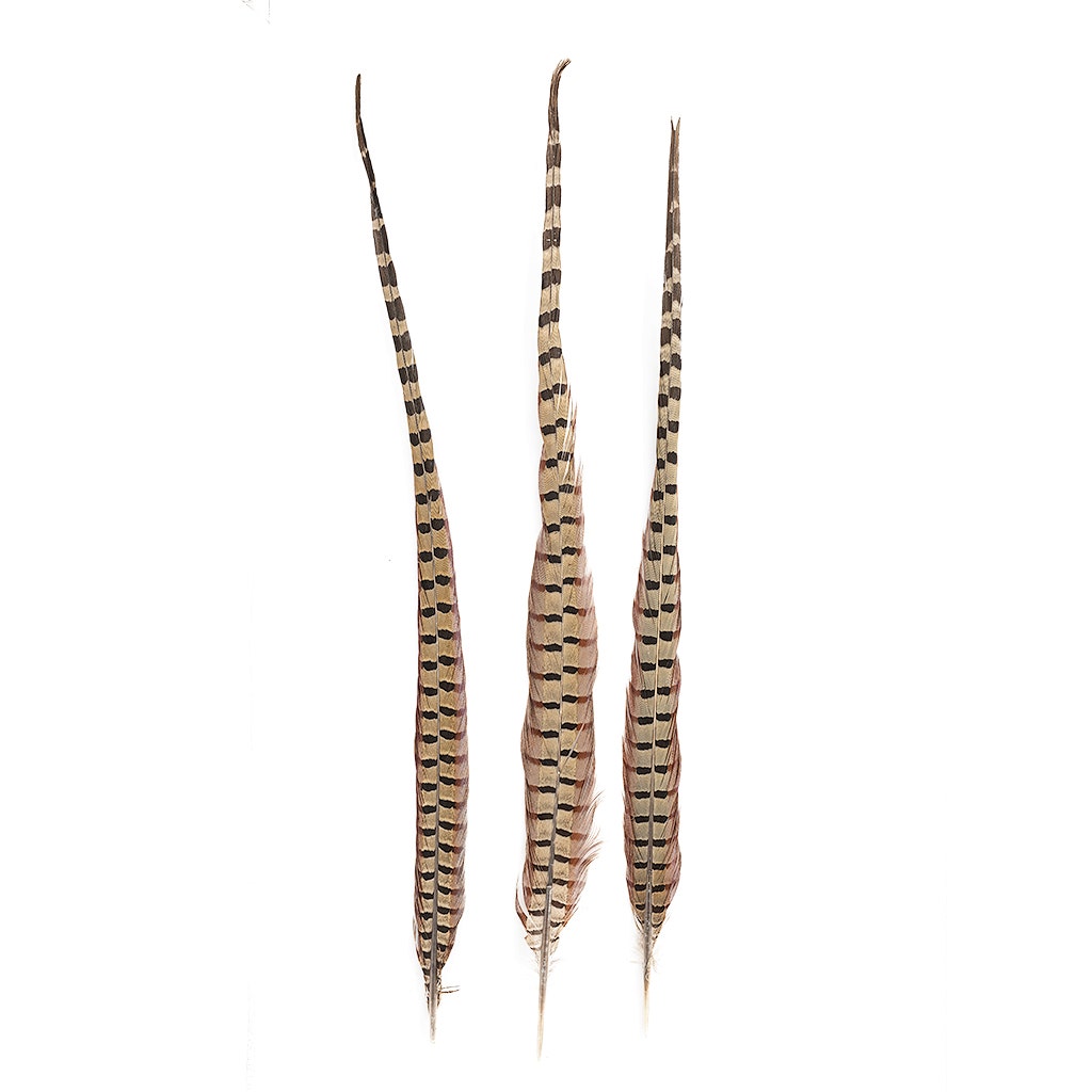 Zucker Feather Product Ringneck Pheasant Tails - Natural - 20 - 24 inch - 100 Pcs