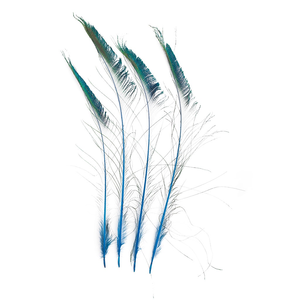 Zucker Feather Products Peacock Swords Stem Dyed - Regal, White