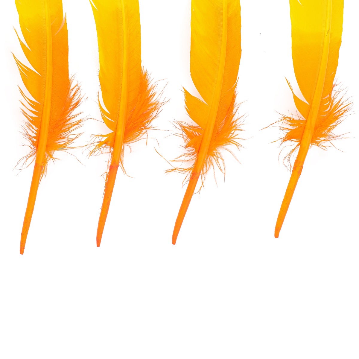 Bulk Two Tone Ombre Tipped Turkey Round Feathers Left Wing - 10-12” - 1/4 lb - Gold Orange
