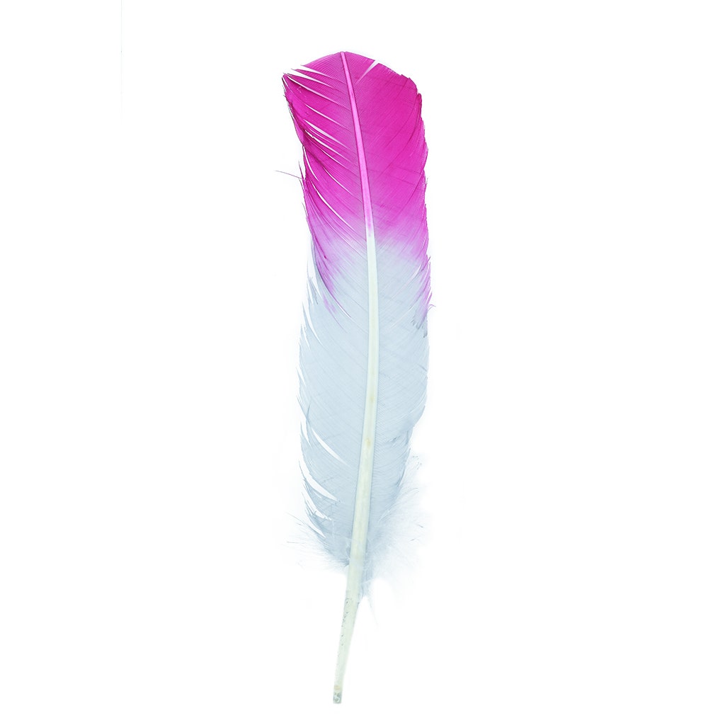 Ombré Turkey Quill Feathers 10-12” 2 pc - Very Berry- Silver