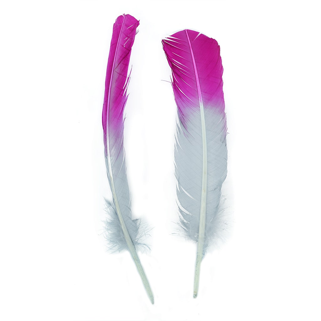Ombré Turkey Quill Feathers 10-12” 2 pc - Very Berry- Silver