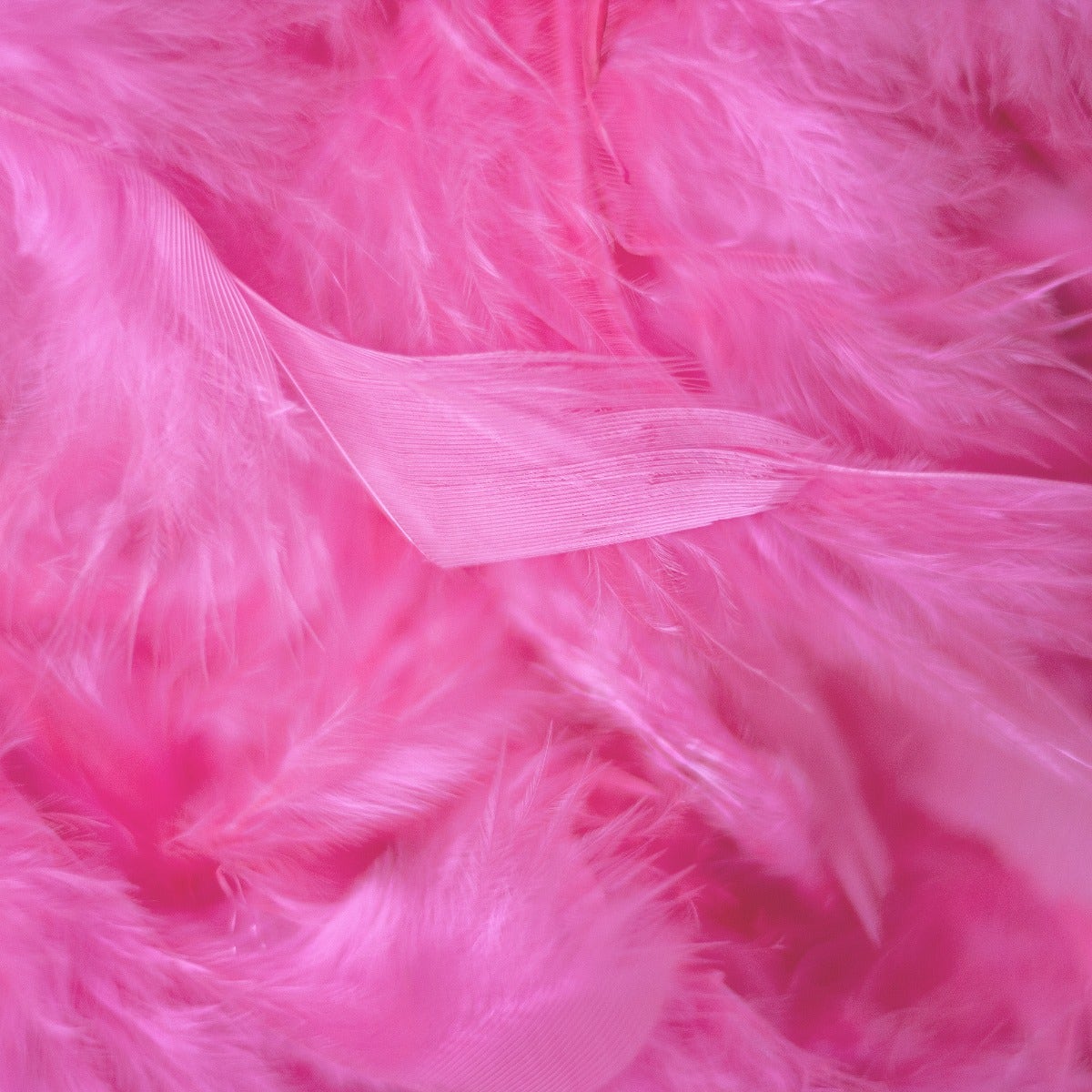 Chandelle Feather Boa - Medium Weight - Pink Orient