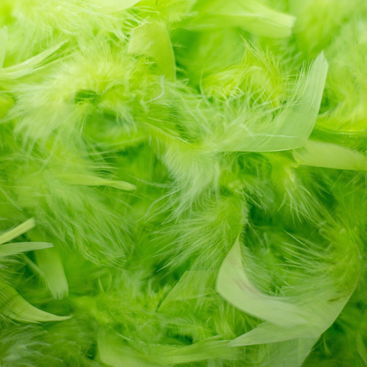 Chandelle Feather Boa - Medium Weight - Lime
