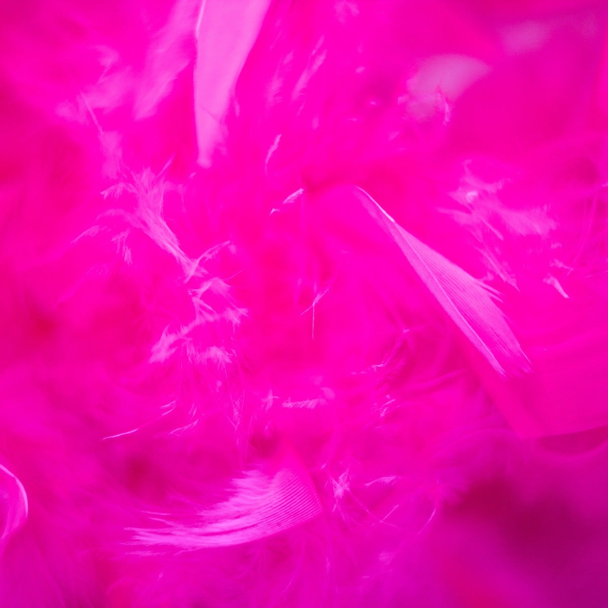 Chandelle Feather Boa - Medium Weight - Shocking Pink