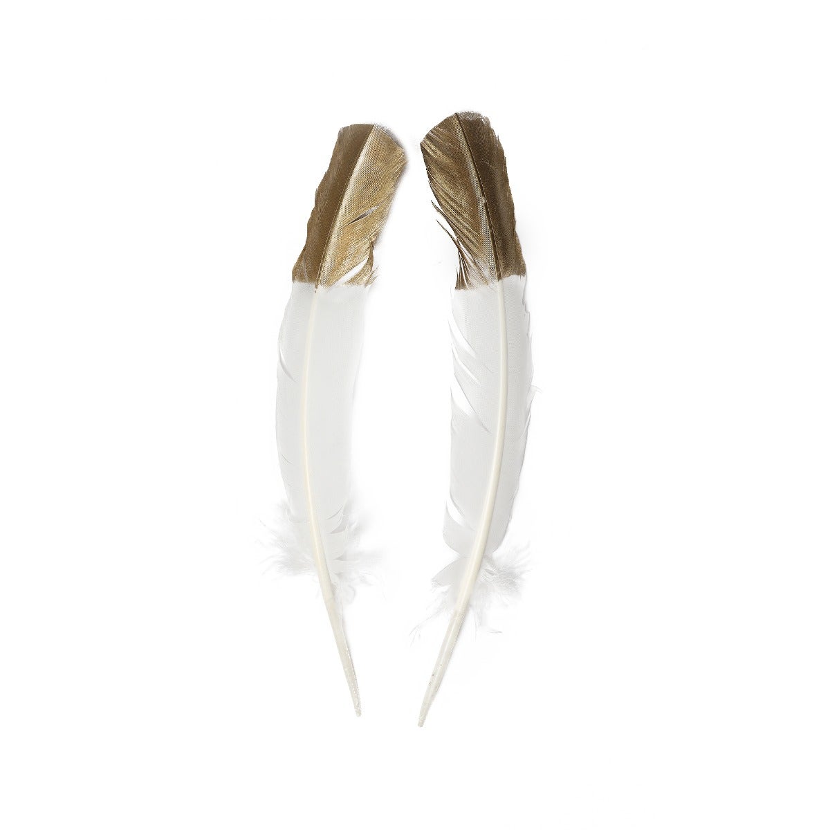 Metallic Gold Tipped White Turkey Quill Feathers 10-12" - 2 PC