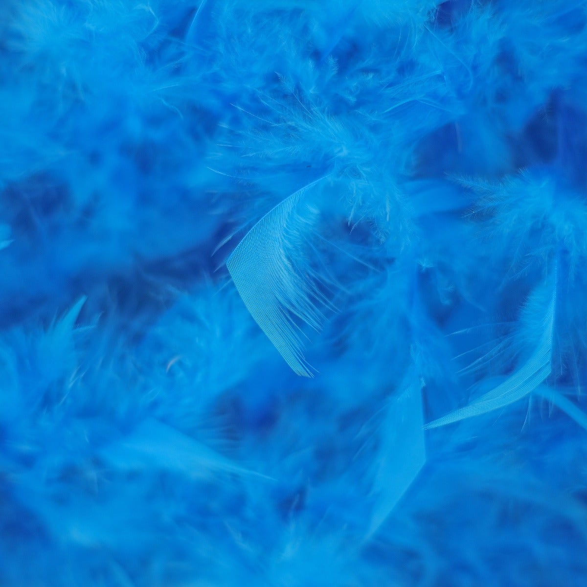 Chandelle Feather Boa - Medium Weight - Dark Turquoise